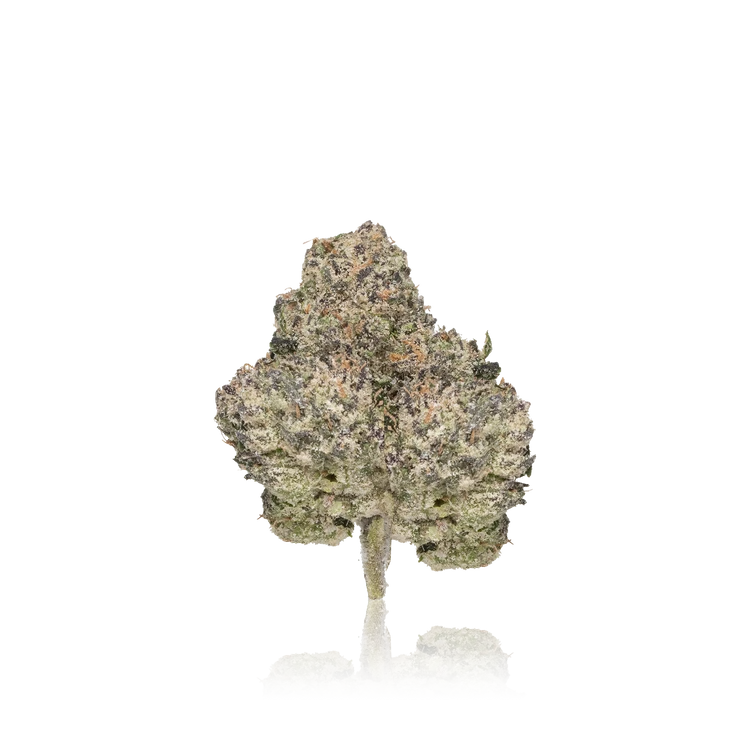 Premium Flower