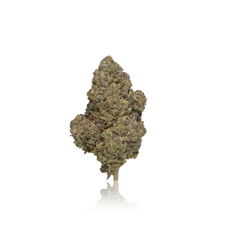 Premium Flower