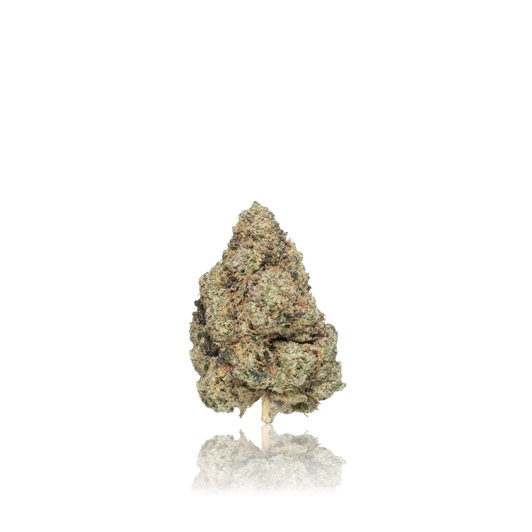 Premium Flower