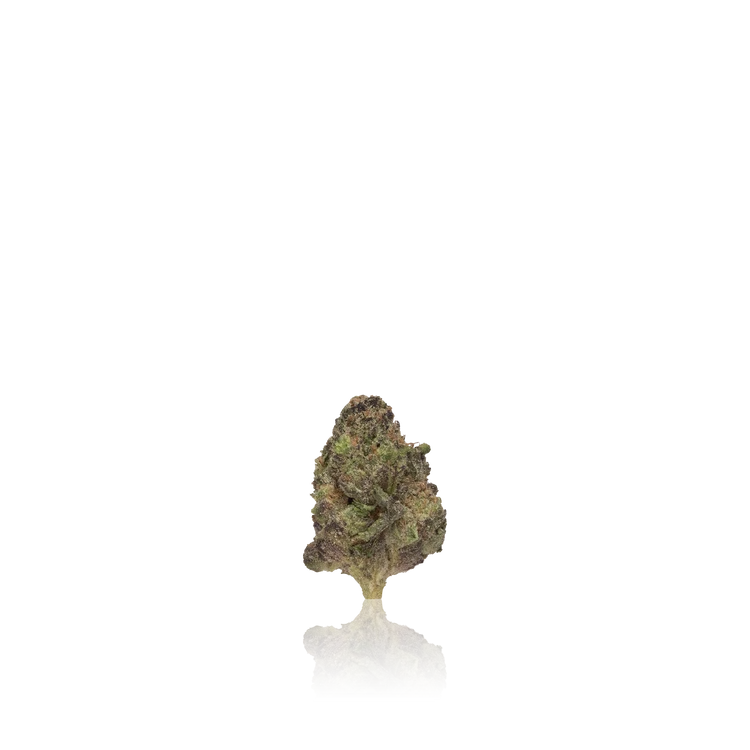 Xotic Flavorz Flower — Eighths