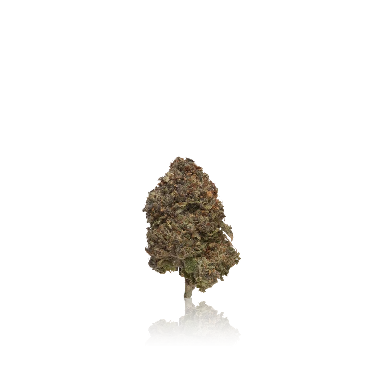 Premium Indoor Flower