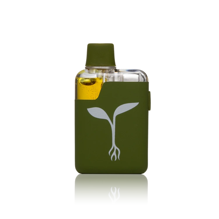 Raw Garden Live Resin AIO — 2 Gram