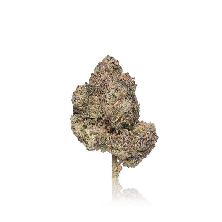 Premium Flower