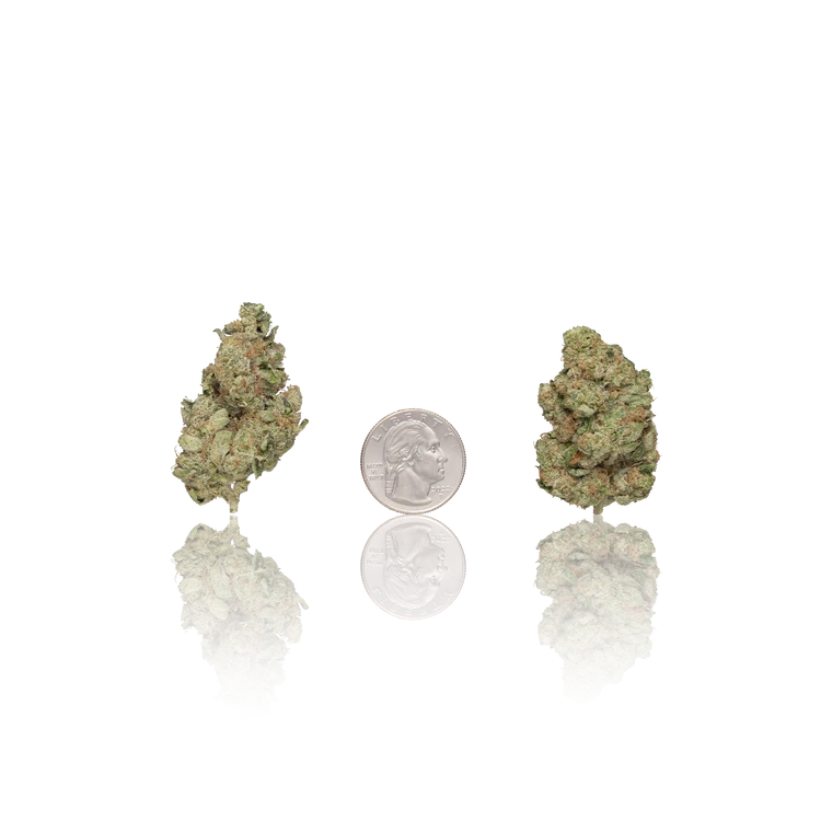 Premium Flower