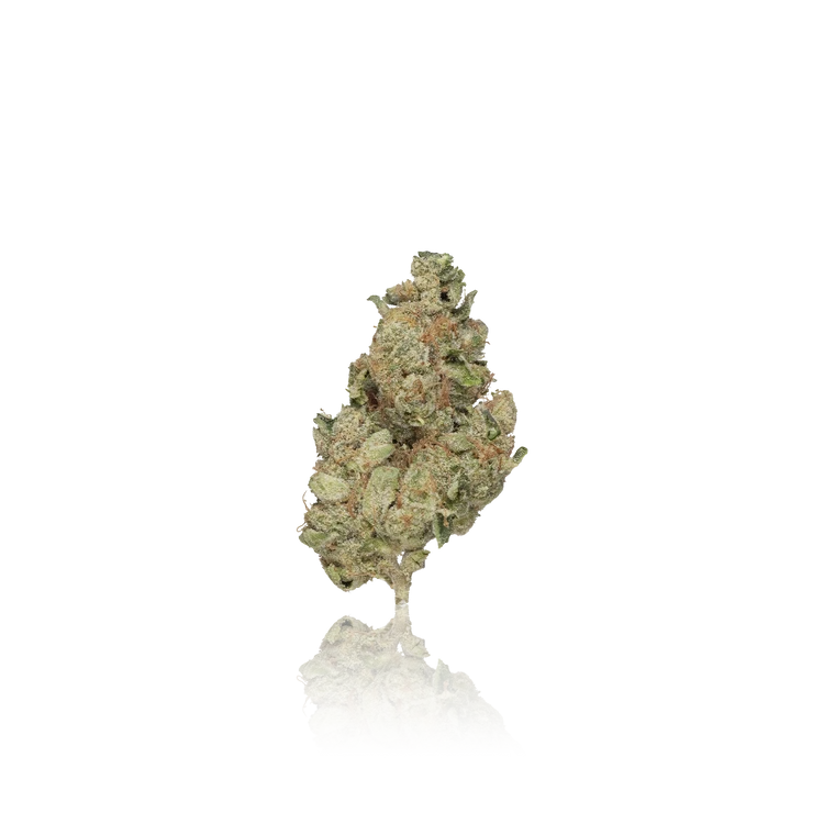 Premium Flower