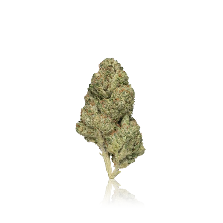 Premium Flower