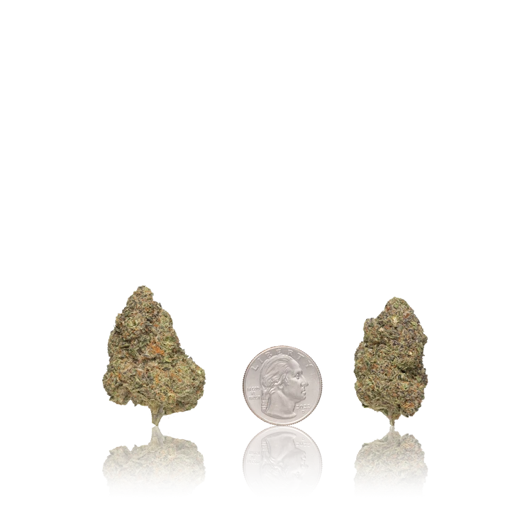 Premium Flower