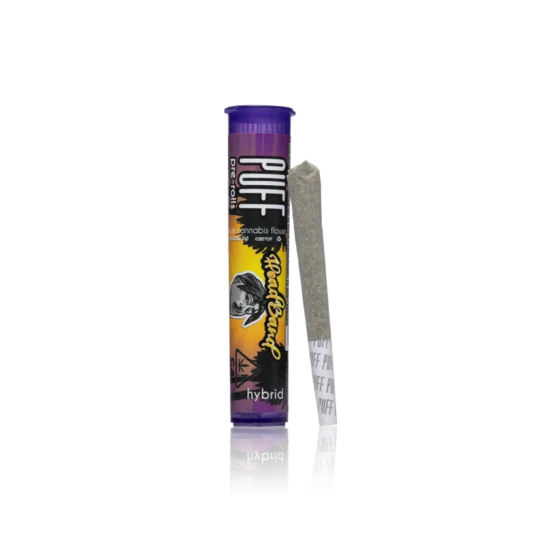 Single Pre-roll — 1 Gram