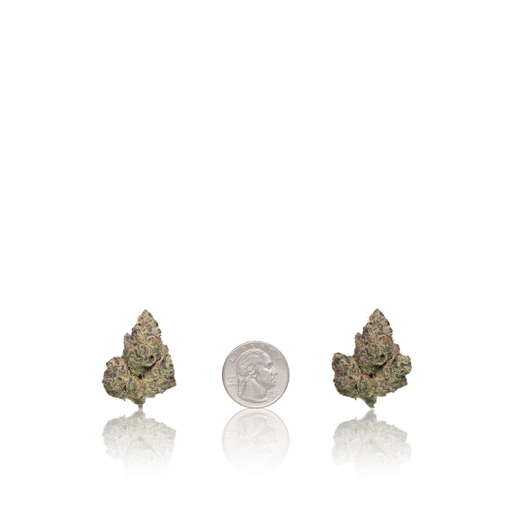 Premium Flower