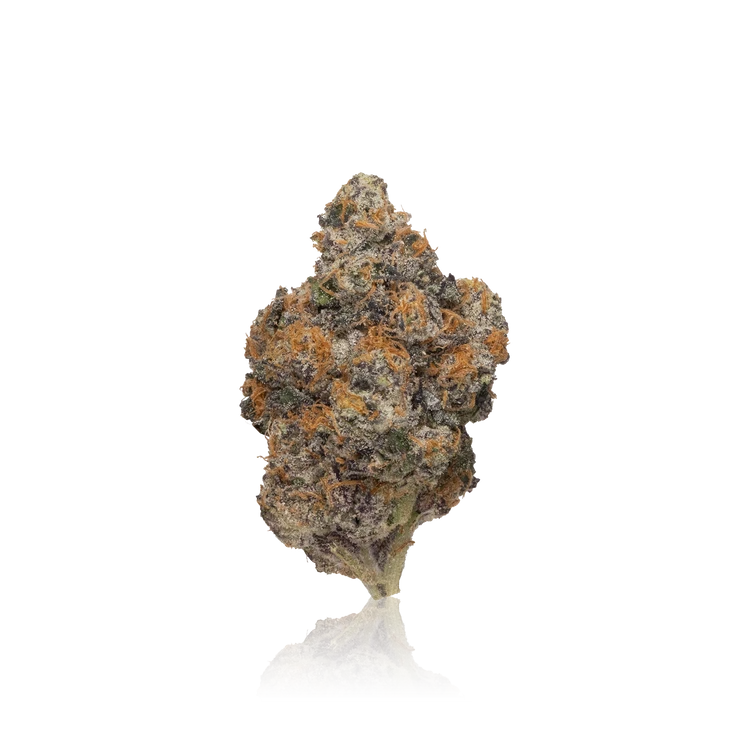 Exotic Flower
