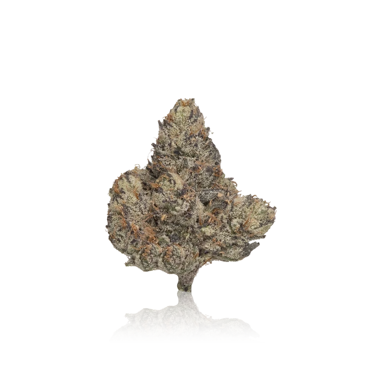 Exotic Flower