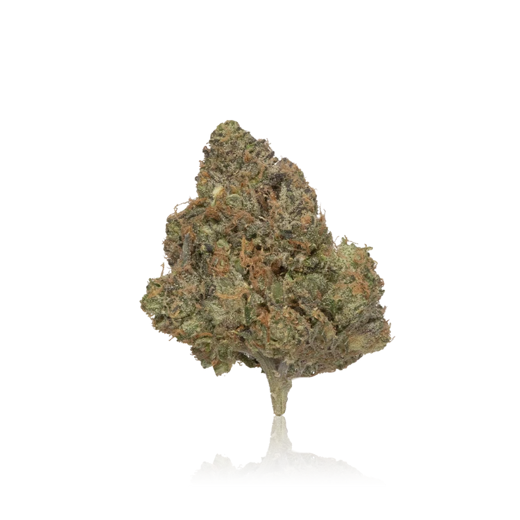 Exotic Flower