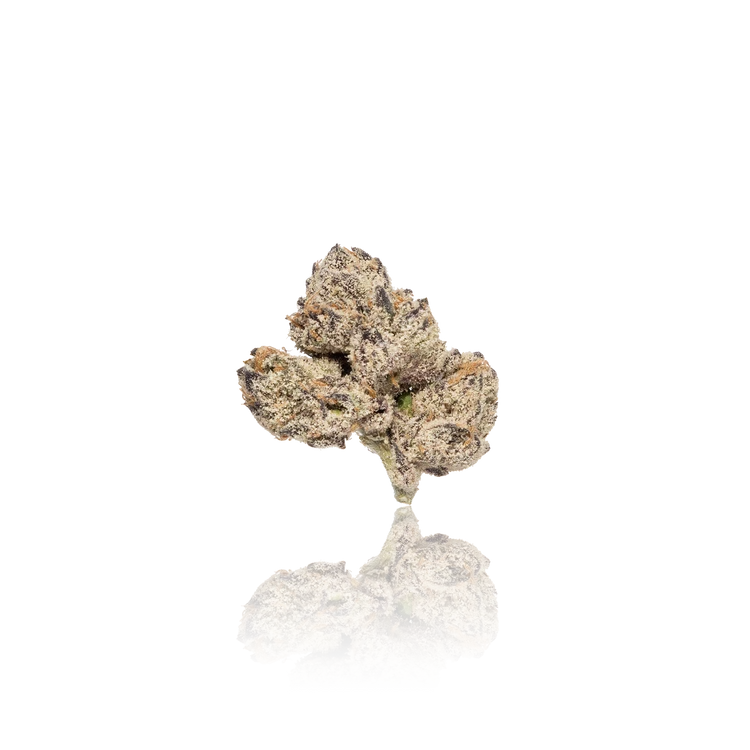 Premium Indoor Flower