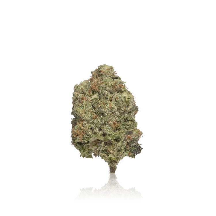 Premium Flower — 10G