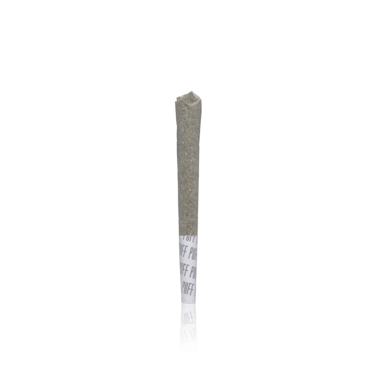 Single Pre-roll — 1 Gram