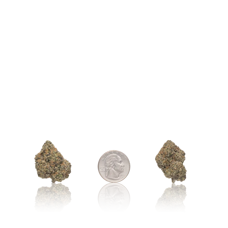 Premium Flower