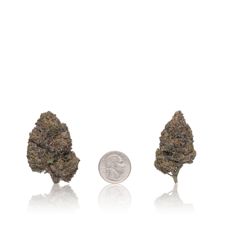 Premium Flower