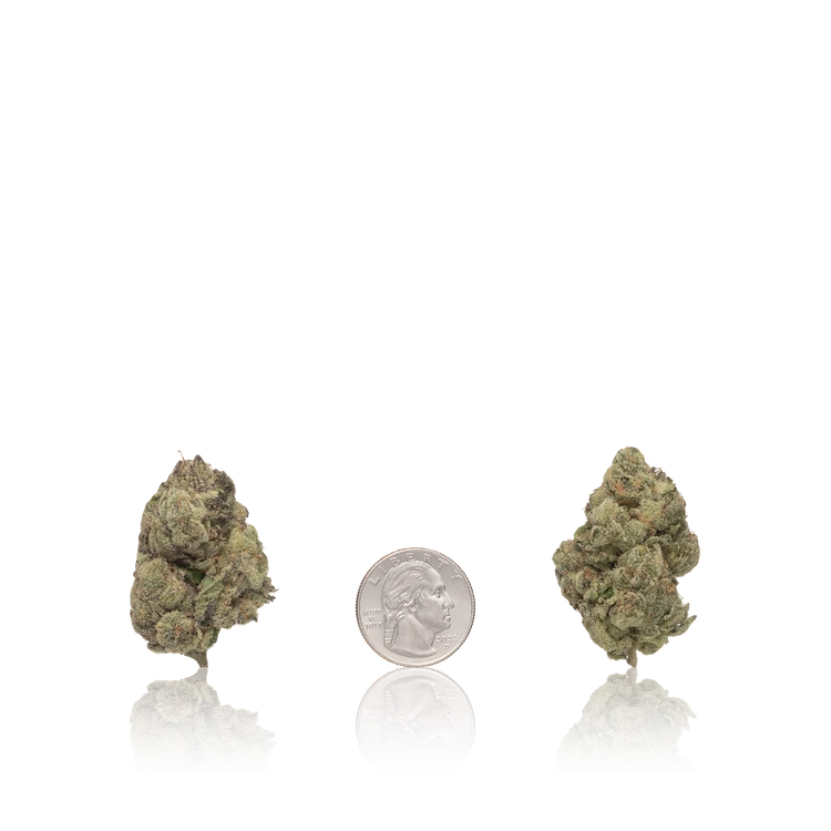 Premium Flower