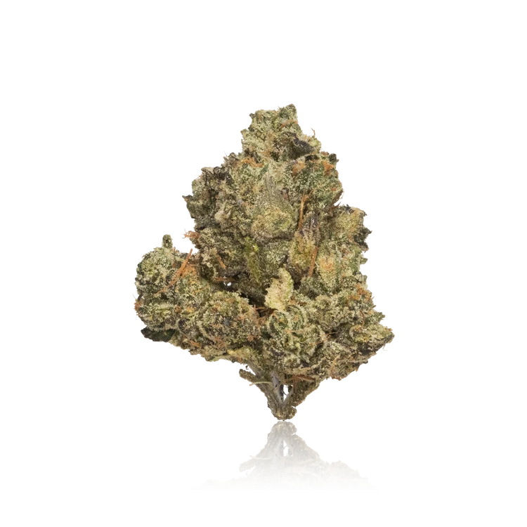 Exotic Flower
