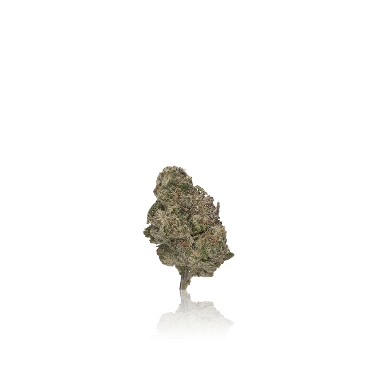 Premium Flower