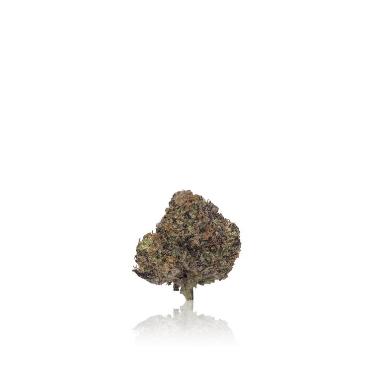 Premium Flower