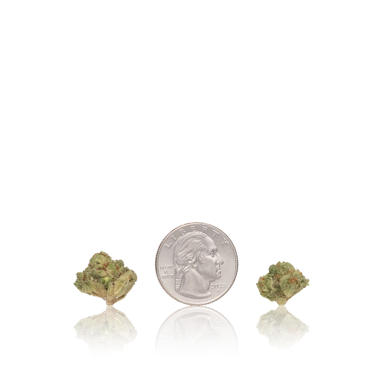 Budget Smalls — Ounce