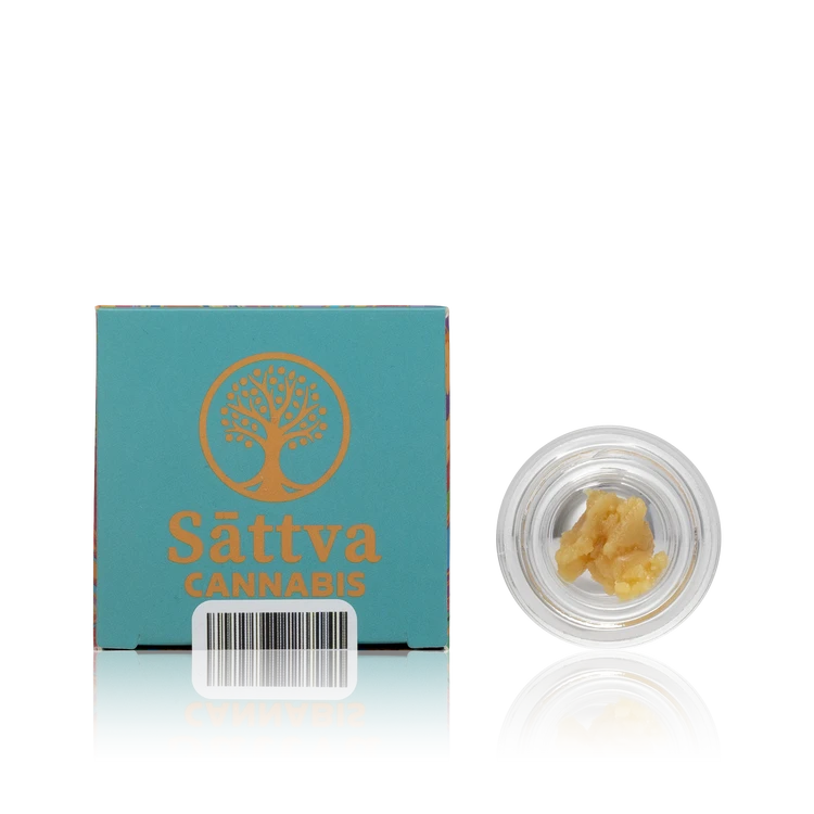 Cured Resin — 1 Gram