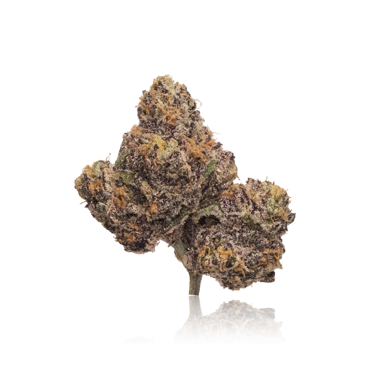 Exotic Flower