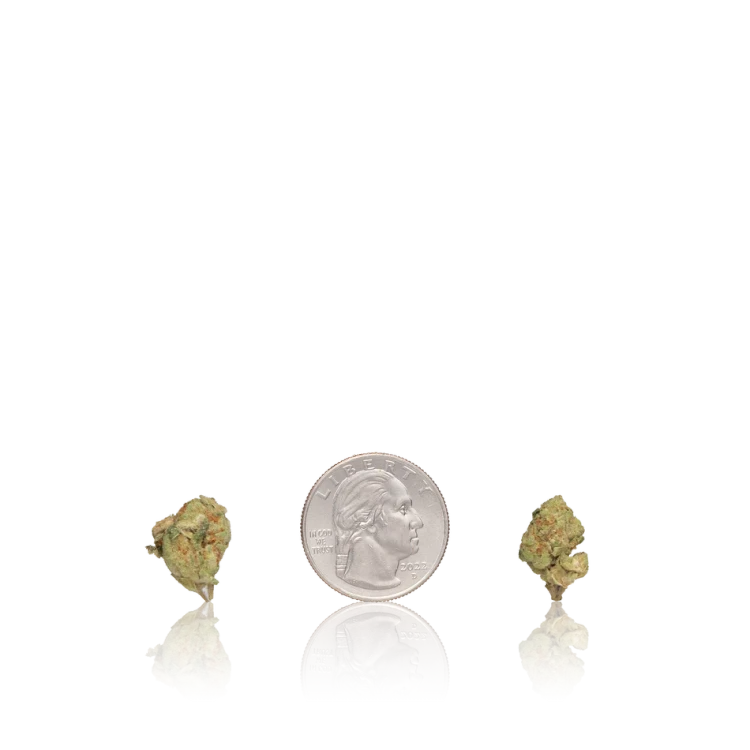Budget Smalls — Ounce