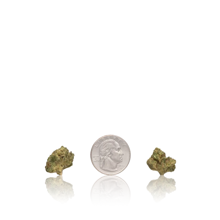 Budget Smalls — Ounce