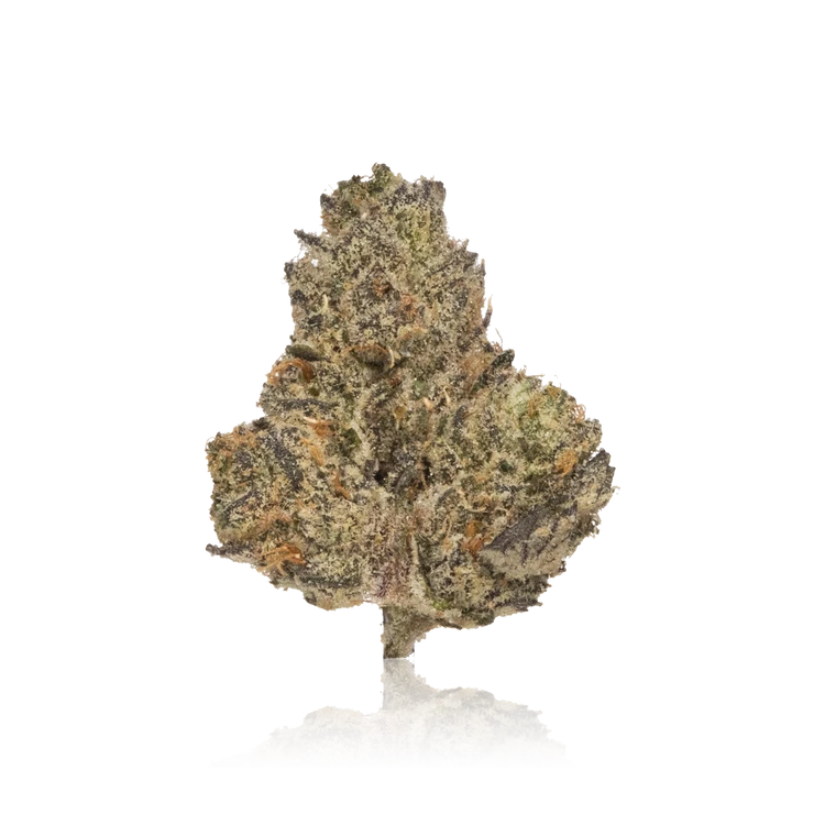 Exotic Flower