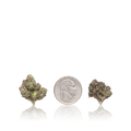 Exotic Smalls — Ounce
