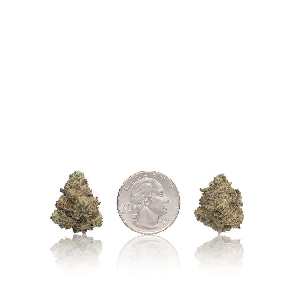 Bulk Premium Smalls — Full Pound