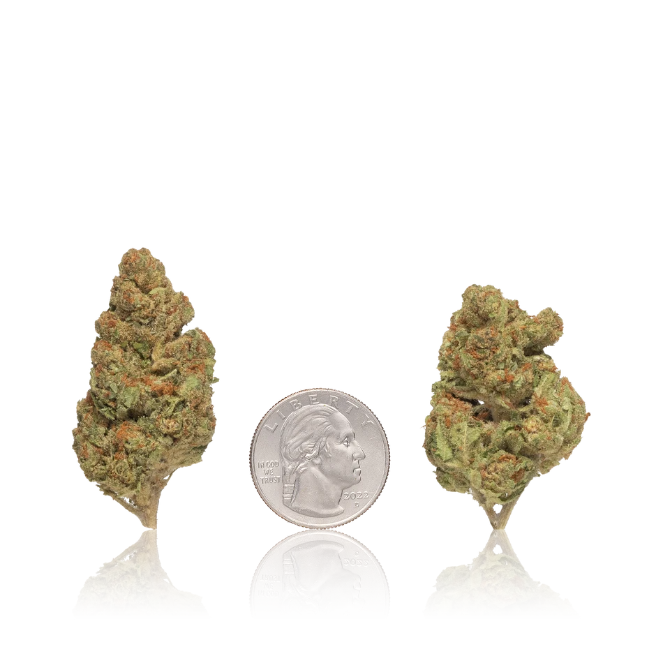 Bulk Budget — Full Pound
