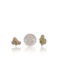 Bulk Exotic Smalls — Full Pound