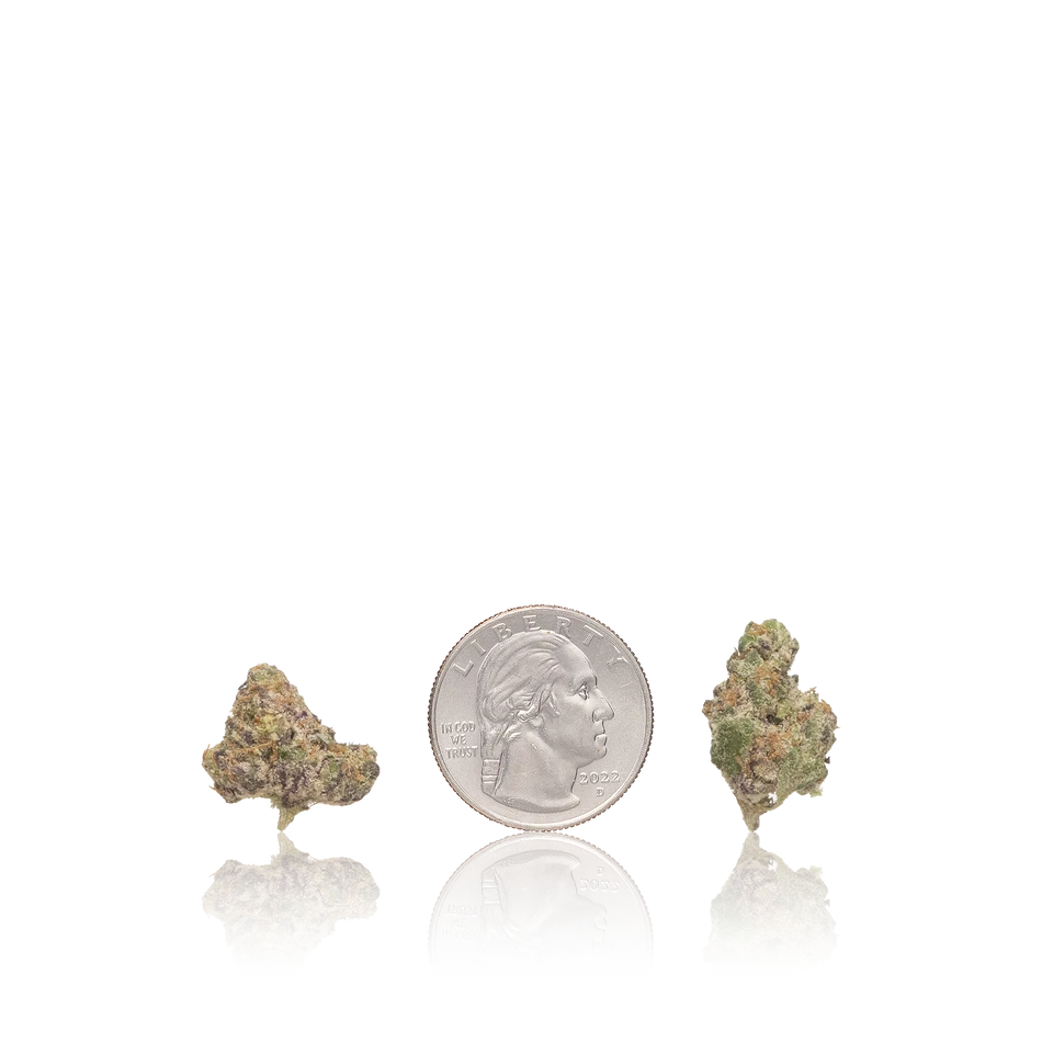 Bulk Exotic Smalls — Full Pound