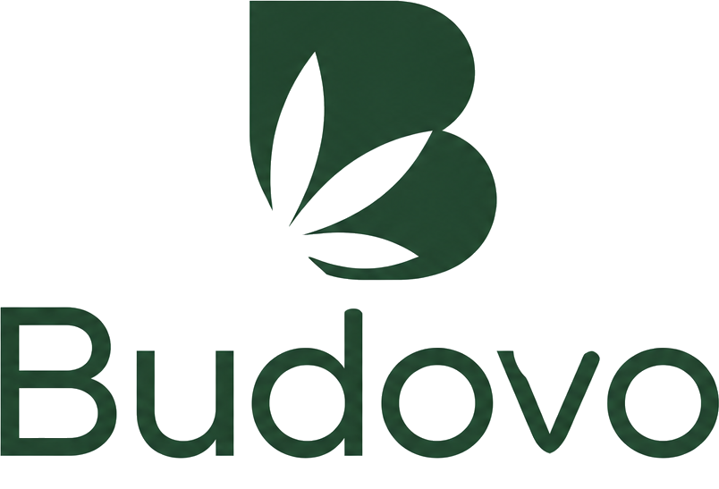 Budovo